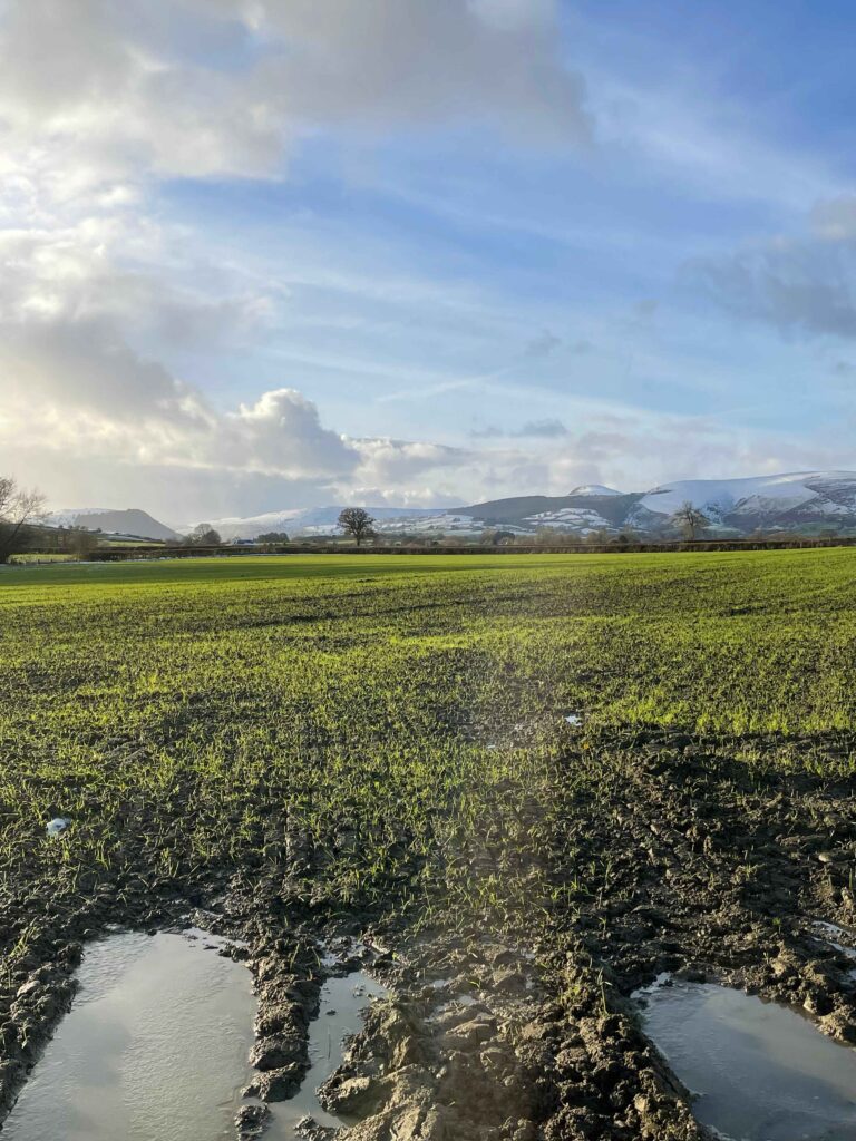 View over a large field during the winter. In the distance are some snow-covered hills. There are clouds, but the sky is blue. 